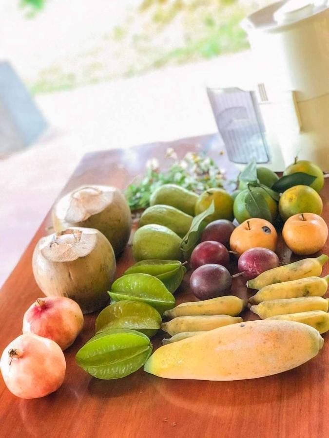 Pai Bjooc Homestay Tuyen Quang Dış mekan fotoğraf