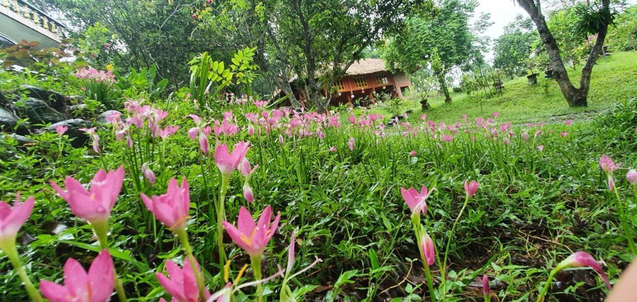 Pai Bjooc Homestay Tuyen Quang Dış mekan fotoğraf