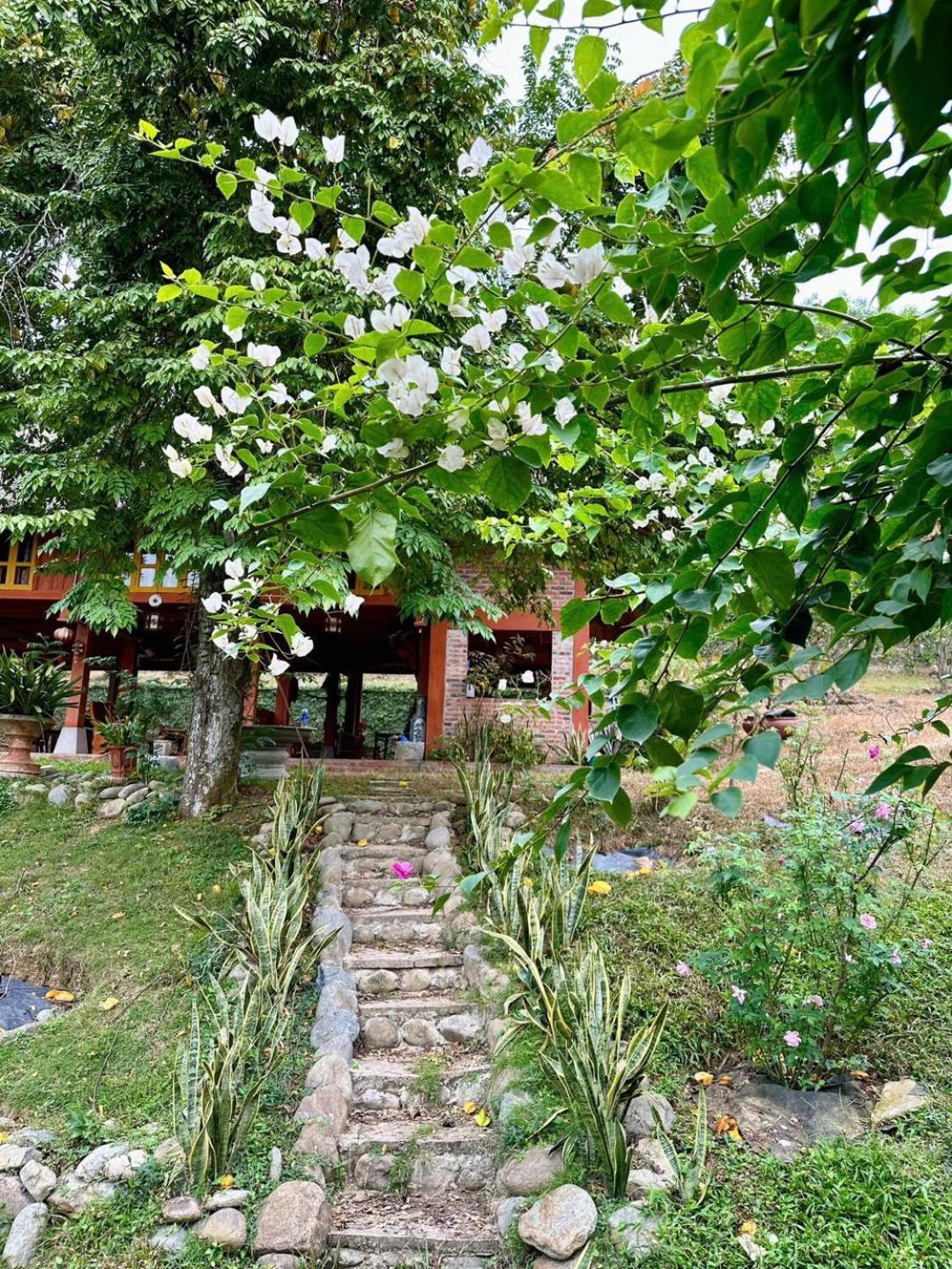 Pai Bjooc Homestay Tuyen Quang Dış mekan fotoğraf