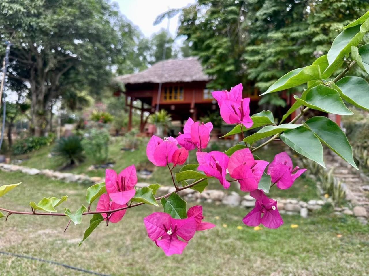 Pai Bjooc Homestay Tuyen Quang Dış mekan fotoğraf